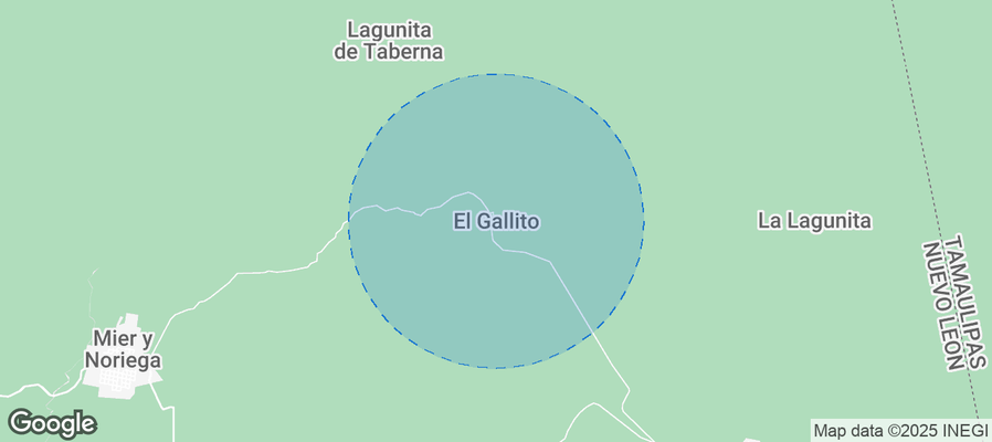 Discover Nuevo León Airbnb Analytics